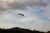 Skywalker X5 FPV flying wing
